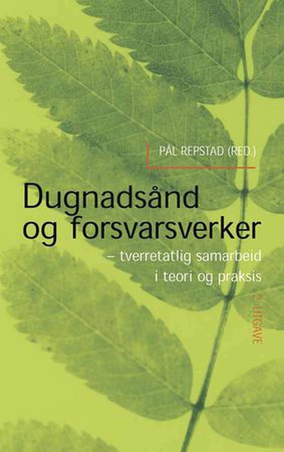 Dugnadsånd og forvarsverker - tverretatlig samarbeid i teori og praksis (ebok) av -