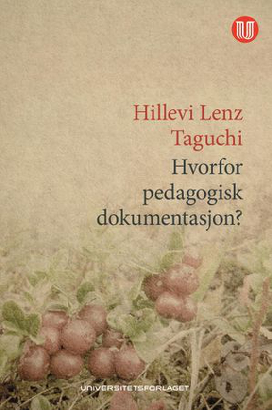 Hvorfor pedagogisk dokumentasjon?