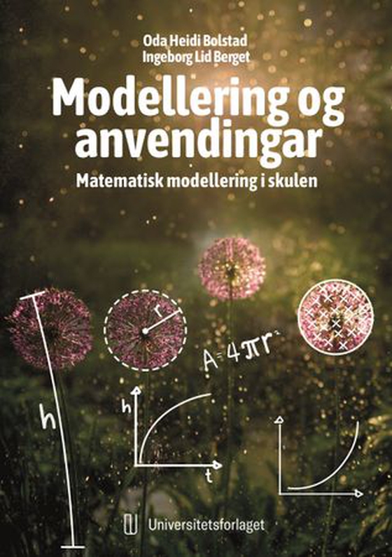 Modellering og anvendingar - matematisk modellering i skulen (ebok) av Oda Heidi Bolstad