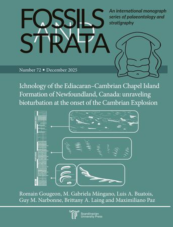 Ichnology of the Ediacaran–Cambrian Chapel Island Formation of Newfoundland, Canada