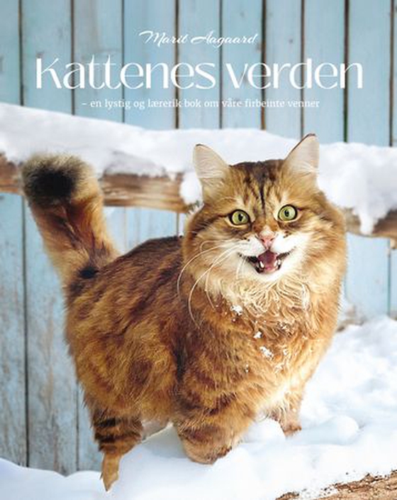 Kattenes verden - en lystig og lærerik bok om våre firbeinte venner (ebok) av Marit Aagaard