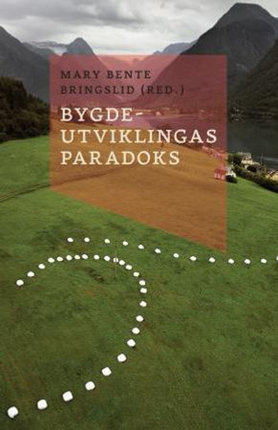 Bygdeutviklingas paradoks (ebok) av -