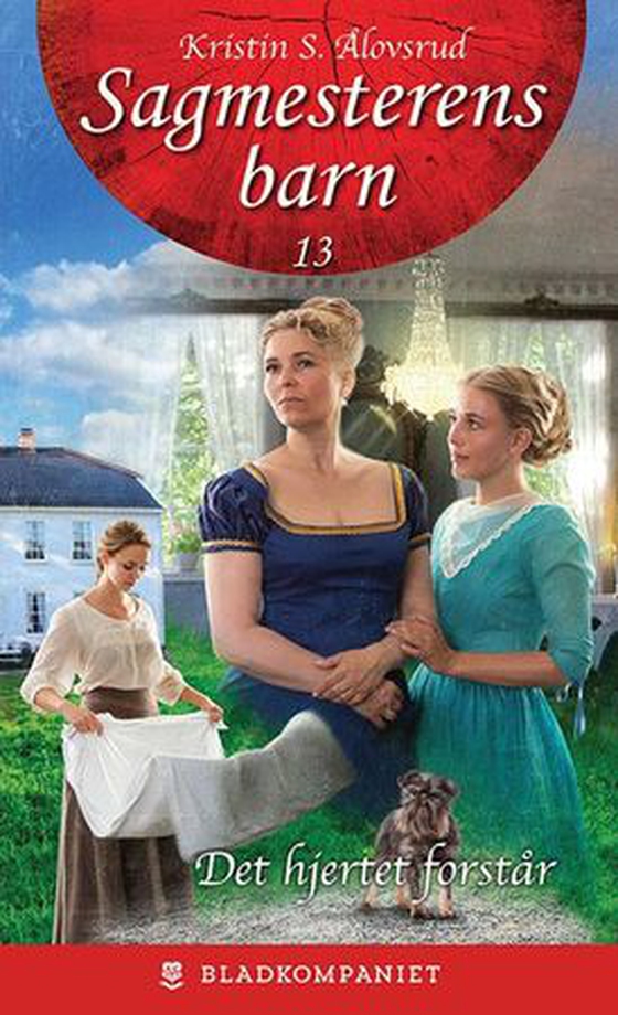 Det hjertet forstår (ebok) av Kristin S. Ålovsrud