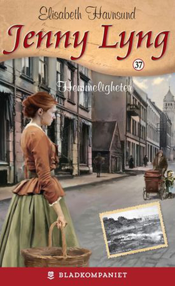 Hemmeligheter (ebok) av Elisabeth Havnsund