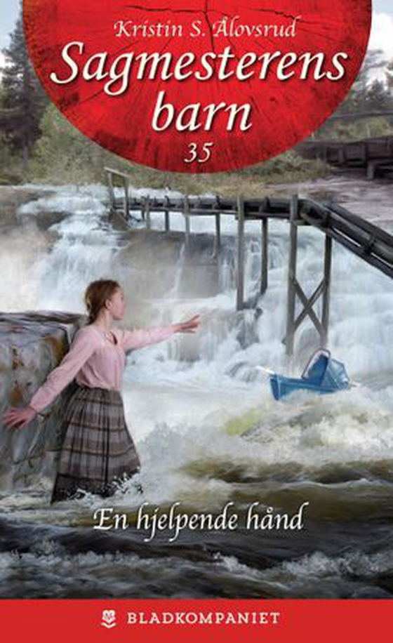 En hjelpende hånd (ebok) av Kristin S. Ålovsrud