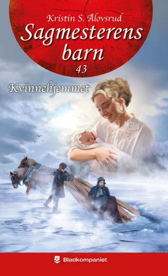 Kvinnehjemmet (ebok) av Kristin S. Ålovsrud