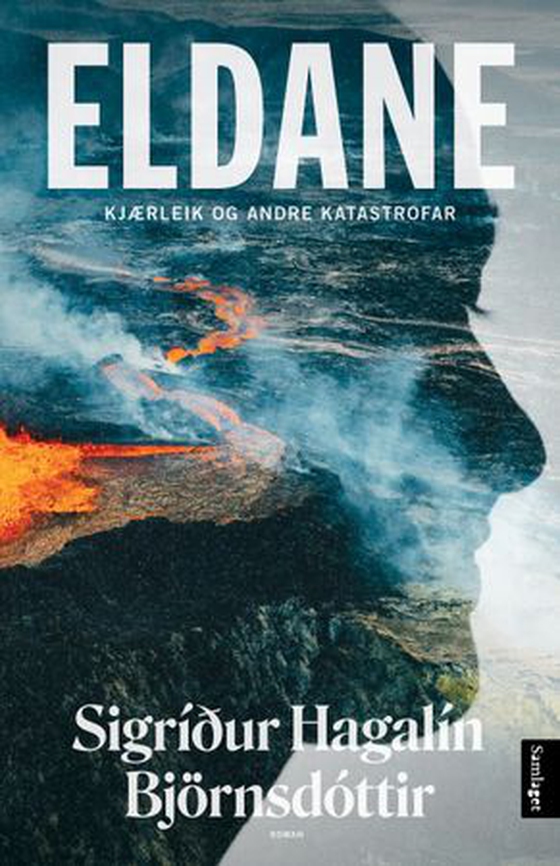 Eldane - kjærleik og andre katastrofar : roman (ebok) av Sigríður Hagalín Björnsdóttir