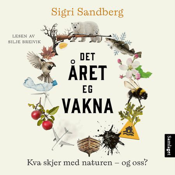 Det året eg vakna