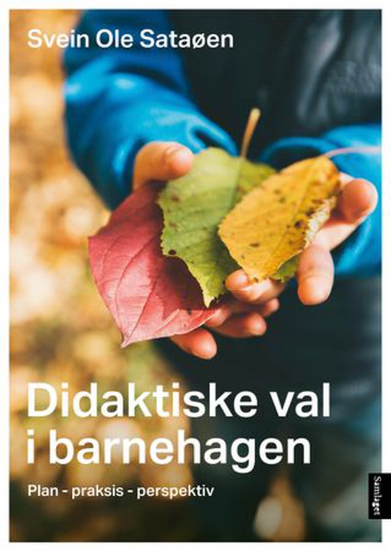 Didaktiske val i barnehagen