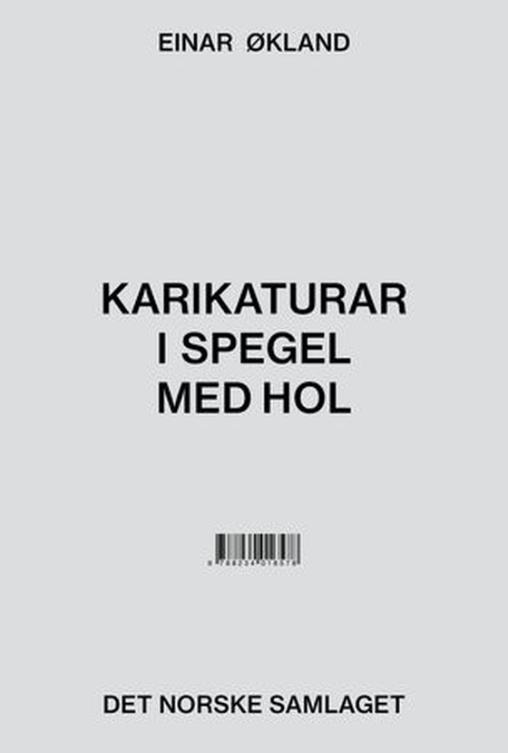 Karikaturar i spegel med hol
