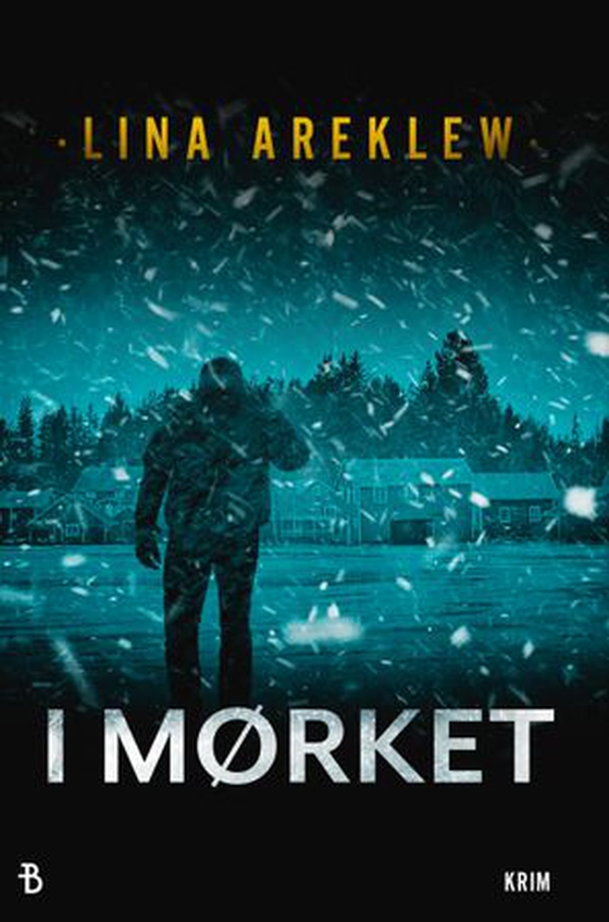 I mørket (ebok) av Lina Areklew