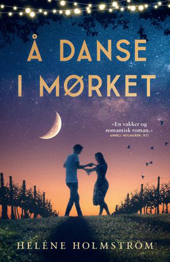 Å danse i mørket (ebok) av Heléne Holmström