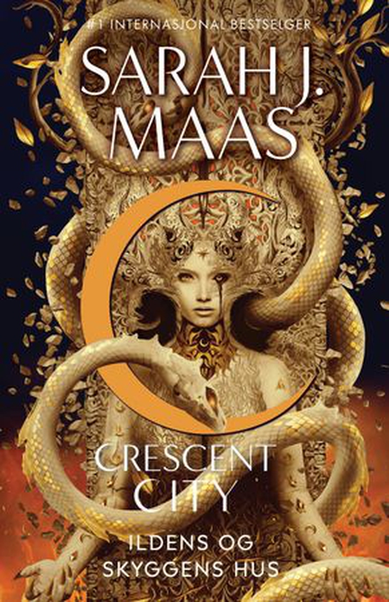Ildens og skyggens hus (ebok) av Sarah J. Maas