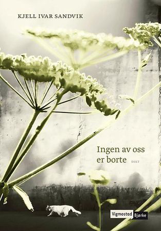 Ingen av oss er borte