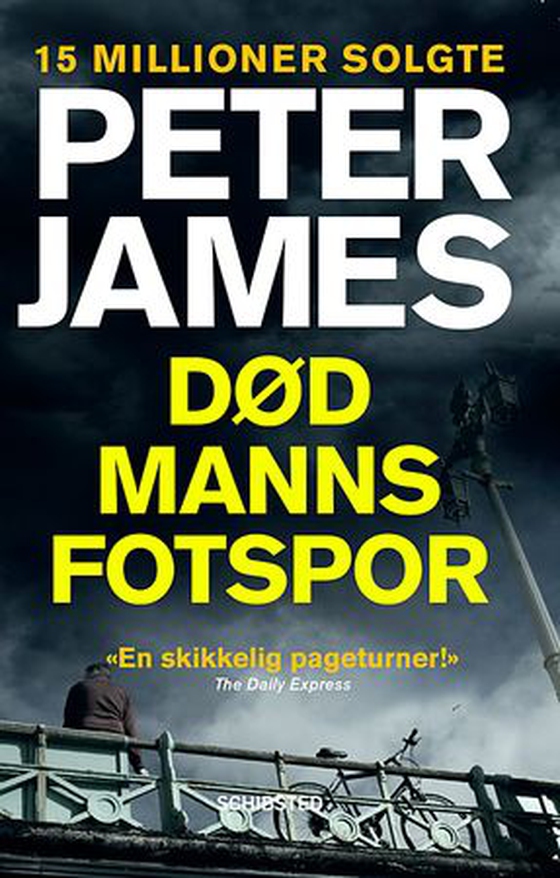 Død manns fotspor (ebok) av Peter James