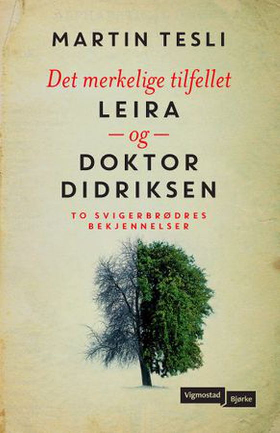 Det merkelige tilfellet Leira og doktor Didriksen - to svigerbrødres bekjennelser (ebok) av Martin Tesli