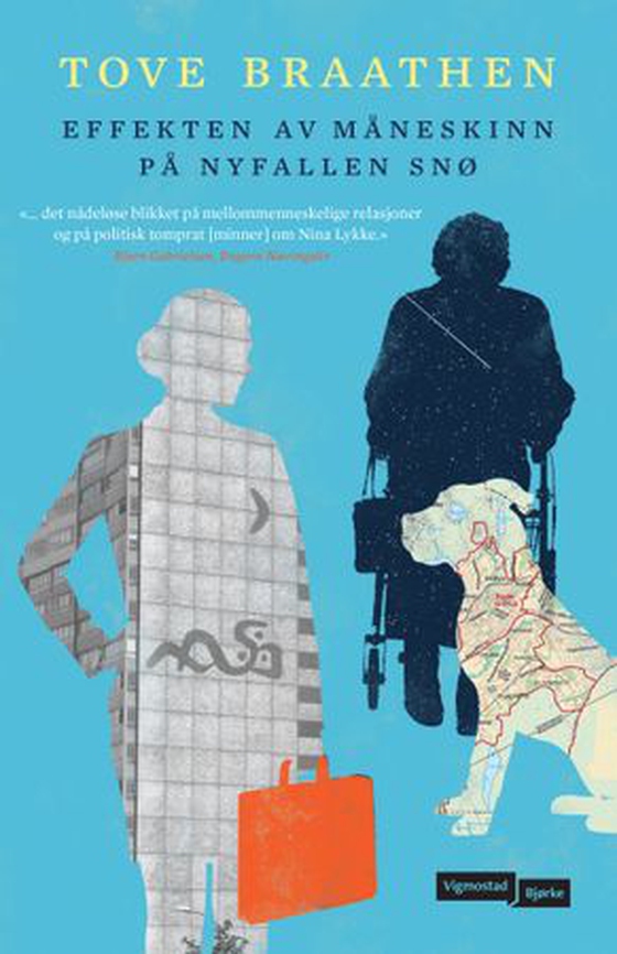 Effekten av måneskinn på nyfallen snø (ebok) av Tove Braathen
