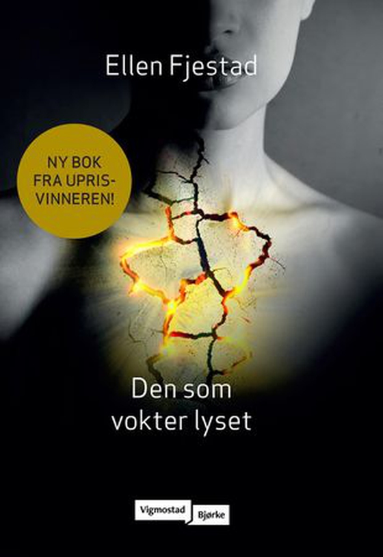 Den som vokter lyset (ebok) av Ellen Fjestad