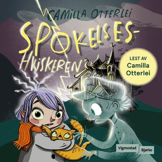 Spøkelseshviskeren
