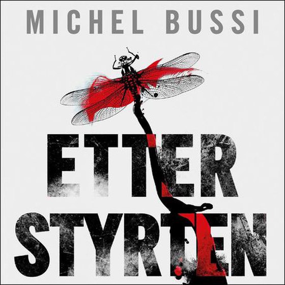 Etter styrten