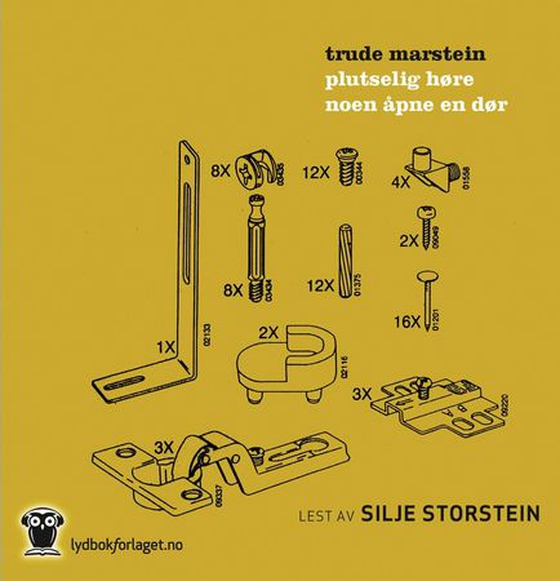 Plutselig høre noen åpne en dør (lydbok) av Trude Marstein