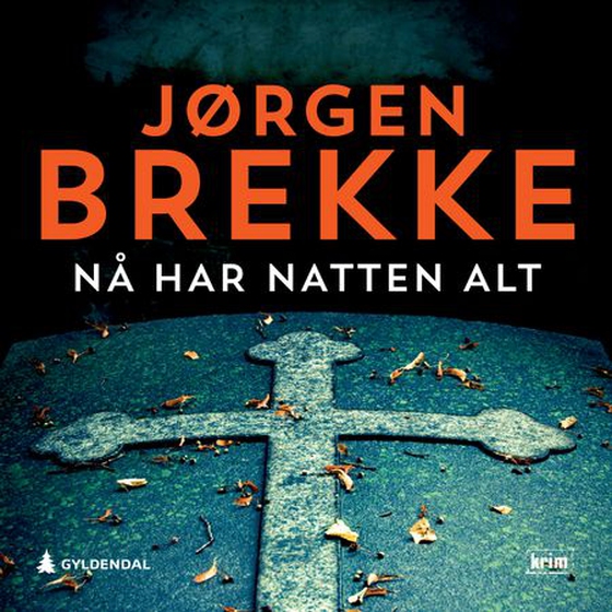 Nå har natten alt - kriminalroman (lydbok) av Jørgen Brekke