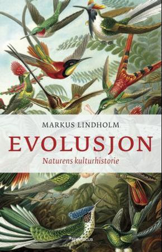 Evolusjon