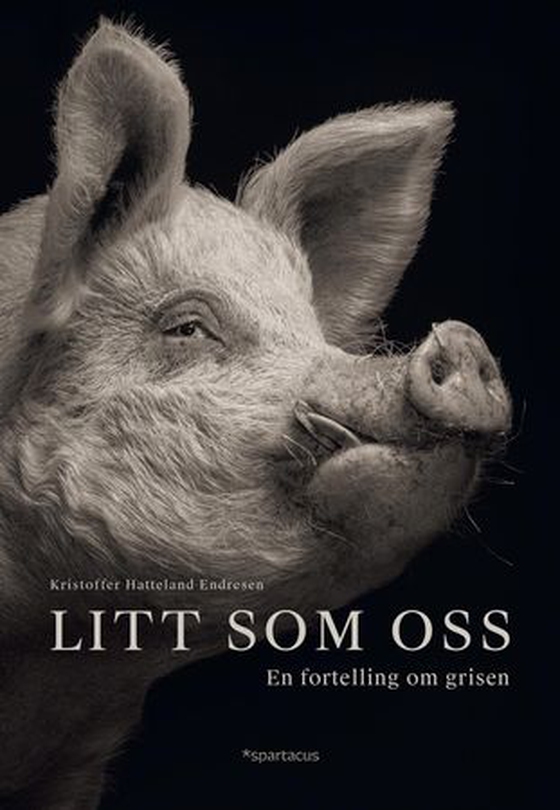 Litt som oss