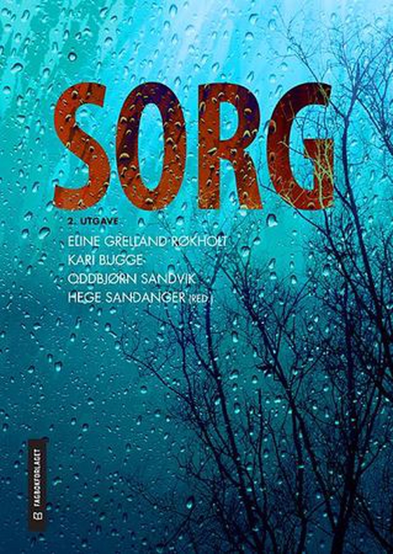 Sorg (ebok) av -