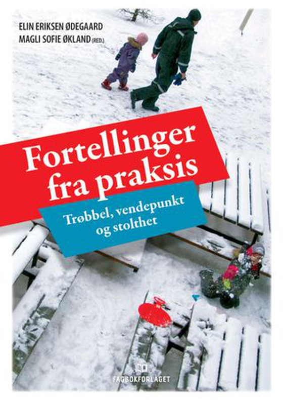 Fortellinger fra praksis - trøbbel, vendepunkt og stolthet (ebok) av -