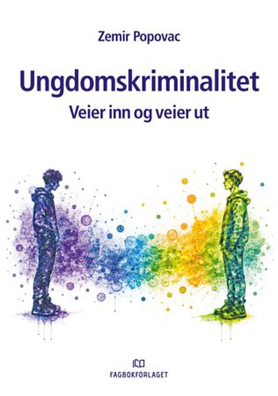 Ungdomskriminalitet