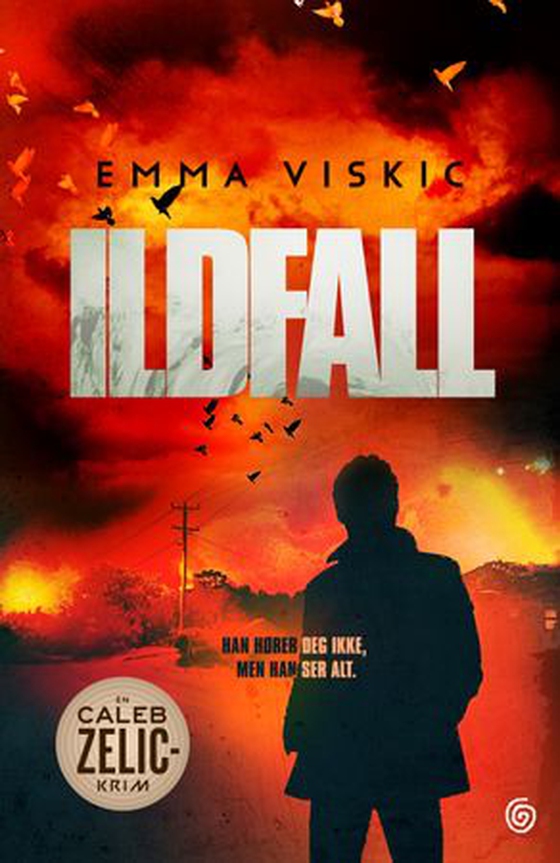 Ildfall (ebok) av Emma Viskic