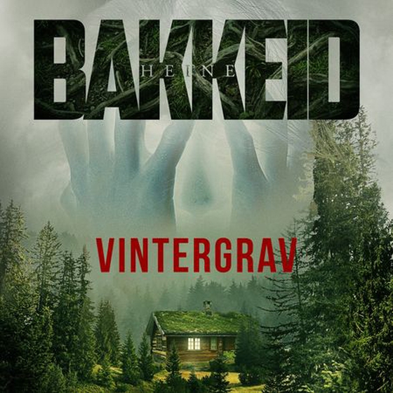 Vintergrav (lydbok) av Heine T. Bakkeid