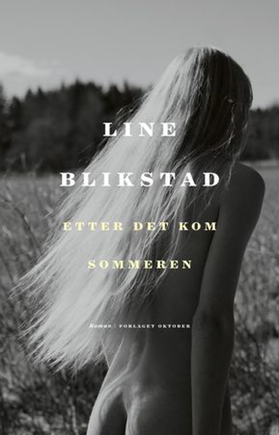 Etter det kom sommeren - roman (ebok) av Line Blikstad
