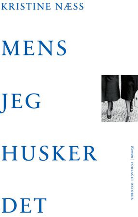 Mens jeg husker det - roman (ebok) av Kristine Næss