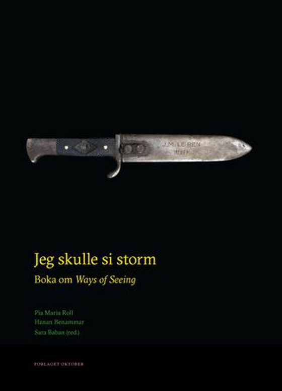 Jeg skulle si storm