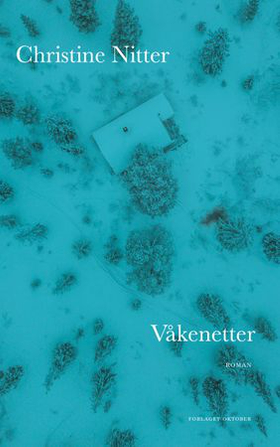 Våkenetter - roman (ebok) av Christine Caroline Nitter
