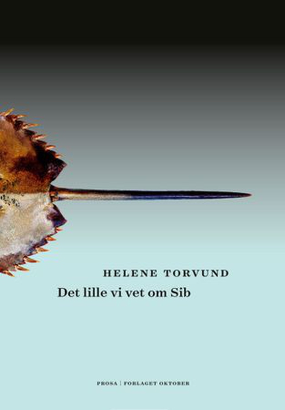 Det lille vi vet om Sib - prosa (ebok) av Helene Torvund