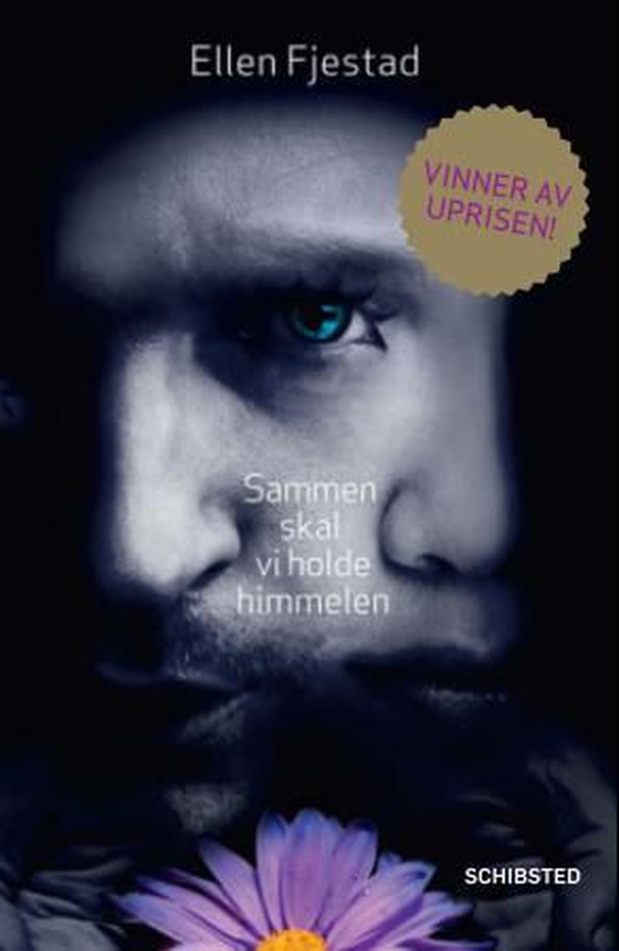 Sammen skal vi holde himmelen (ebok) av Ellen Fjestad