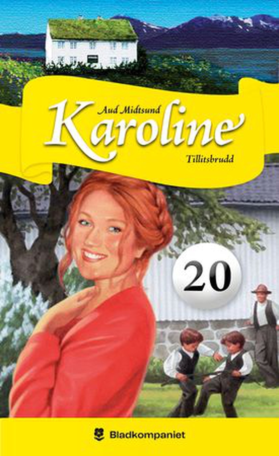 Tillitsbrudd (ebok) av Aud Midtsund