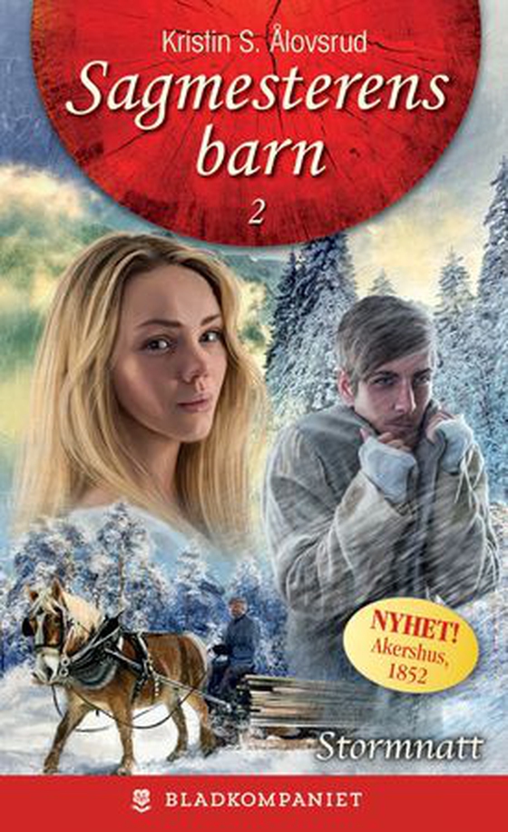 Stormnatt (ebok) av Kristin S. Ålovsrud