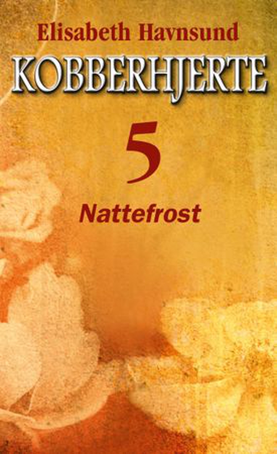Nattefrost (ebok) av Elisabeth Havnsund