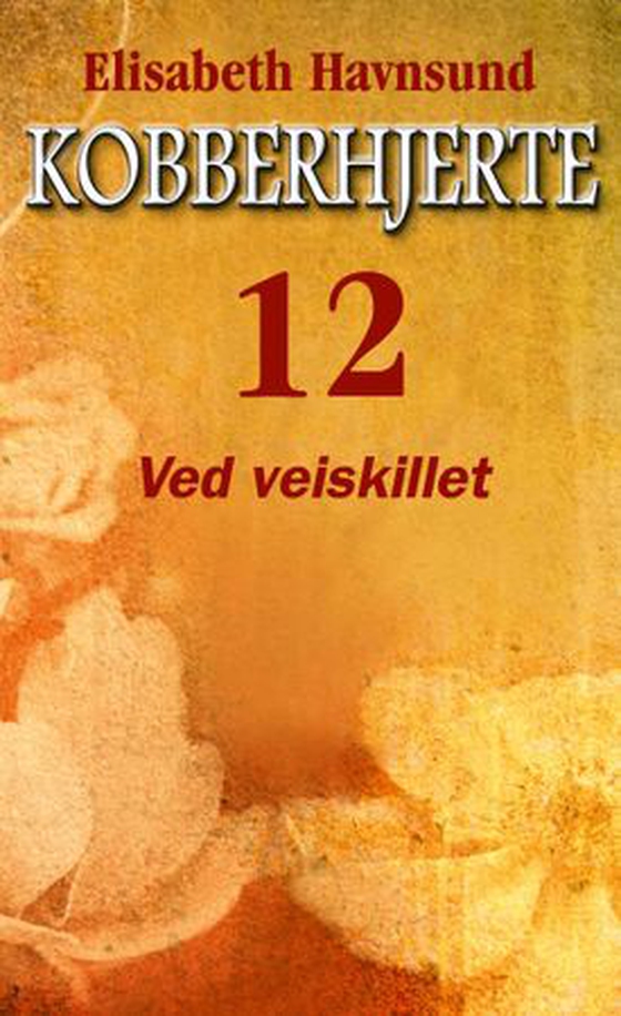 Ved veiskillet (ebok) av Elisabeth Havnsund