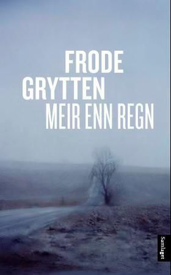 Meir enn regn