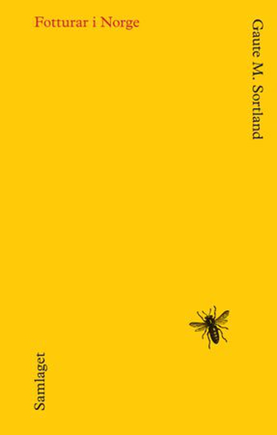 Fotturar i Norge (ebok) av Gaute M. Sortland
