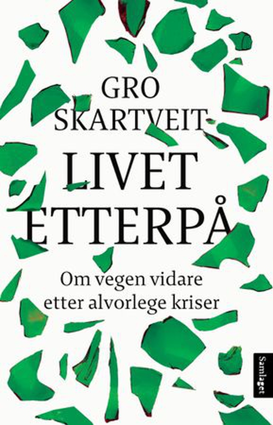 Livet etterpå - om vegen vidare etter alvorlege kriser (ebok) av Gro Skartveit