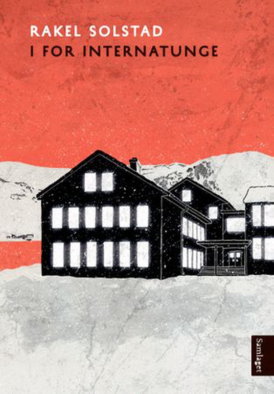 I for internatunge - roman (ebok) av Rakel Solstad