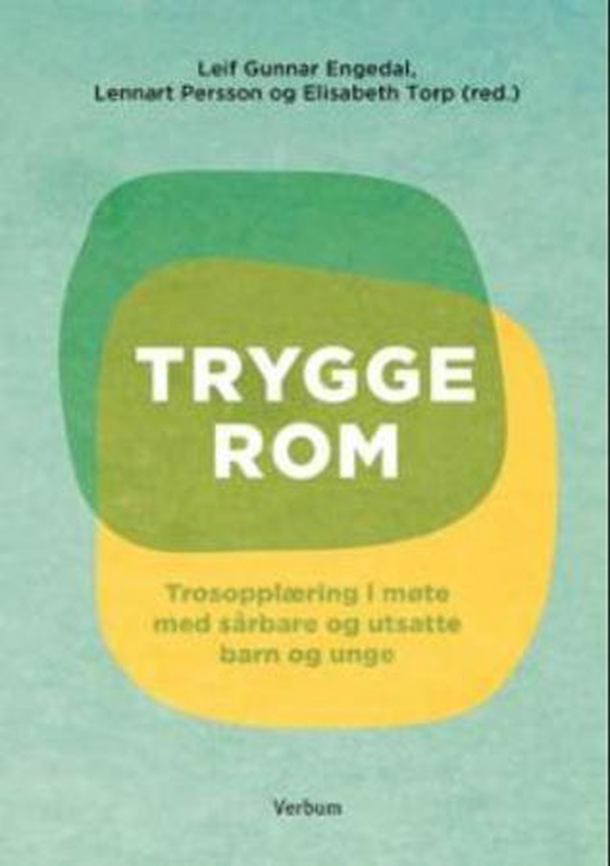 Trygge rom - trosopplæring i møte med sårbare og overgrepsutsatte barn og unge (ebok) av -