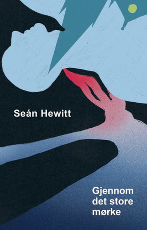 Gjennom det store mørke - memoarer (ebok) av Seán Hewitt