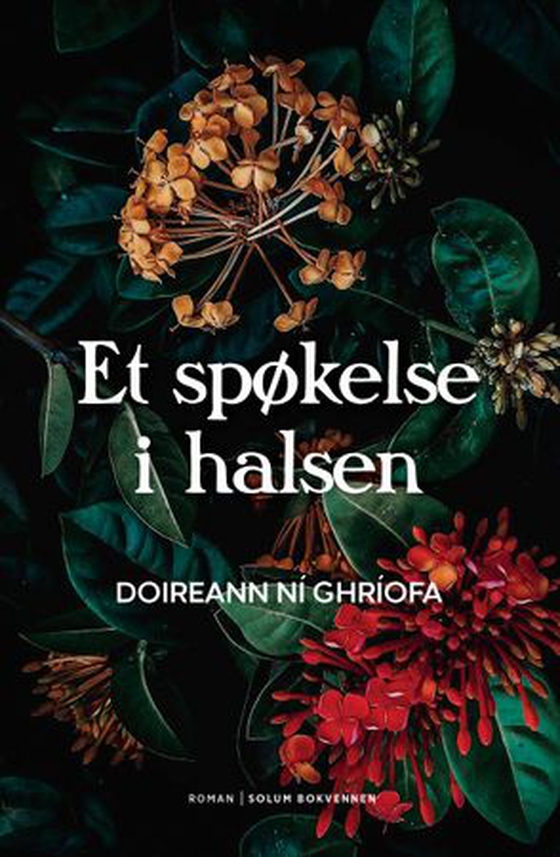 Et spøkelse i halsen (ebok) av Doireann Ní Ghríofa